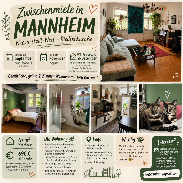 Flat Neckarstadt Riedfeldstraße - Allgemein