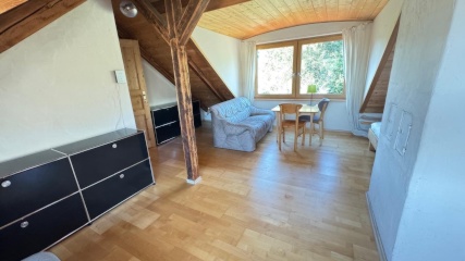Lichtdurchflutete 1-Zimmer Wohnung / Appartment in zentraler Lage mit perfekter öffentlichen Anbindung