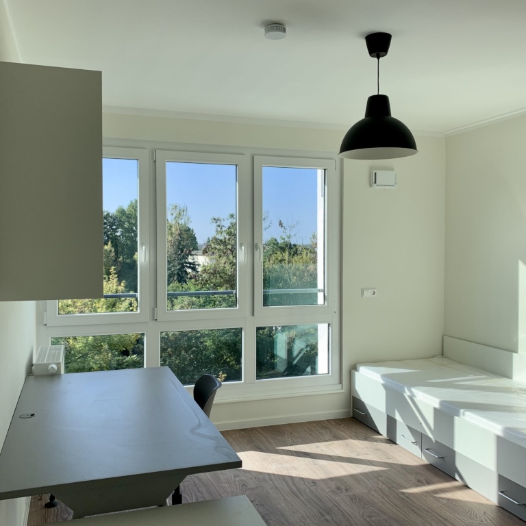 1-Zimmer-Wohnung Gom Karl-Liebknecht-Straße 24 - Bild 1