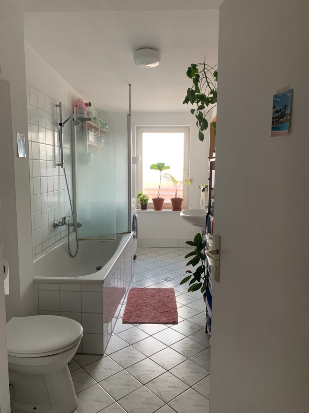 Estudio Prenzlauer Berg Dunckerstr.  14 - foto 2