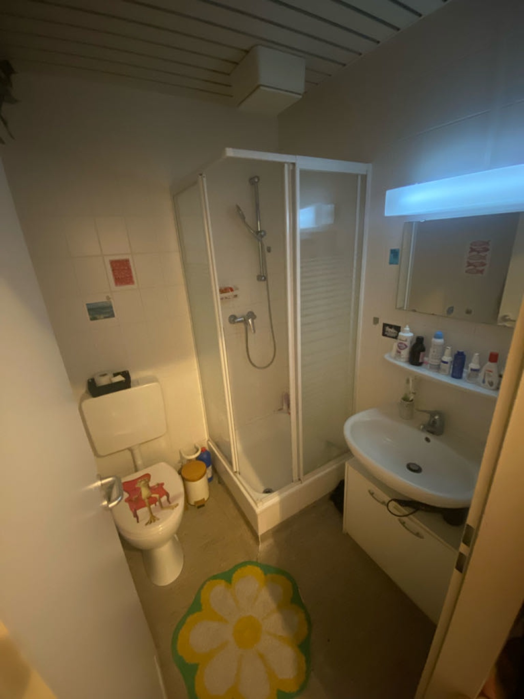 Apartamento Kernstadt Krummbogen - foto 15