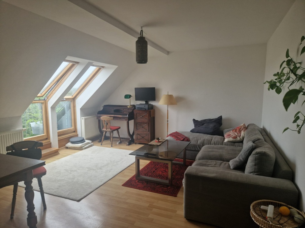Upscale Attic Apartment with Stunning City Views – 4177 Leipzig Altlindenau – Vorschaubild 5