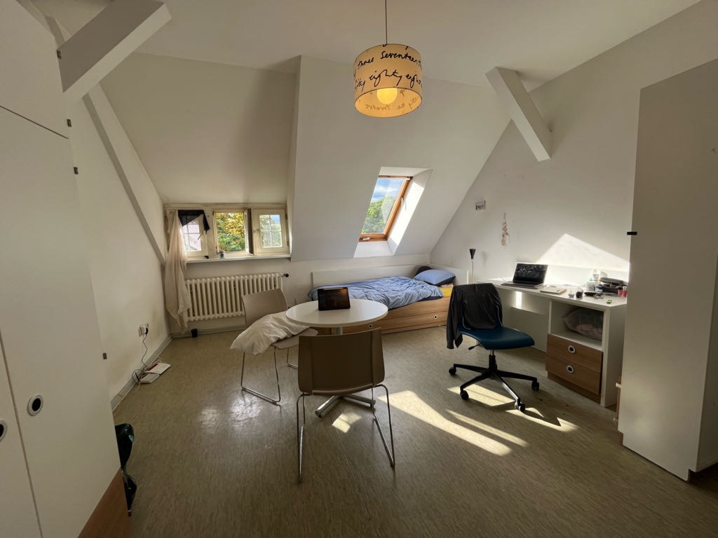 1-Zimmer-Wohnung Mitte Derfflingerstraße - Bild 3