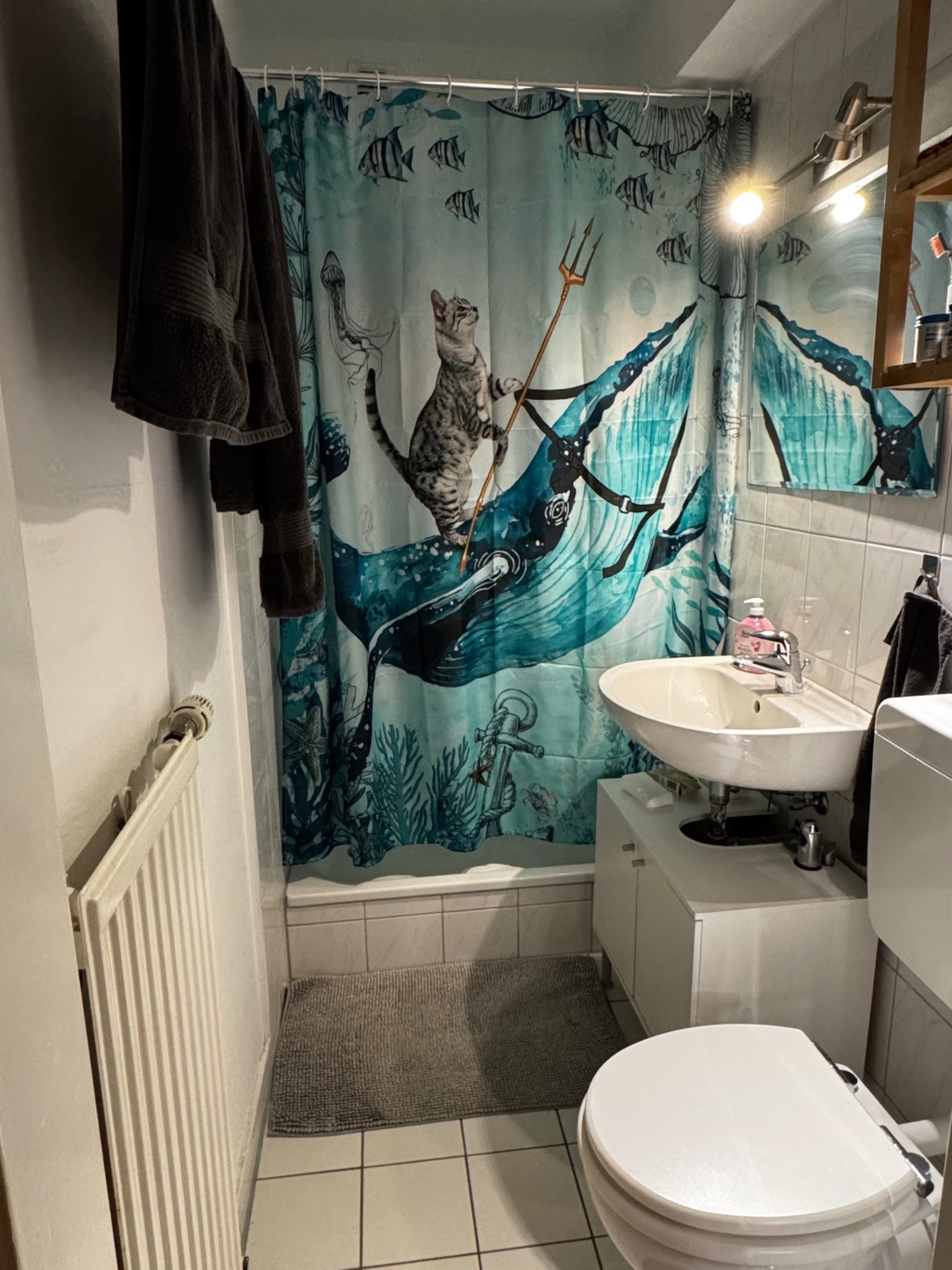 Apartamento Altstadt-Süd Quirinstraße 1 - foto 8