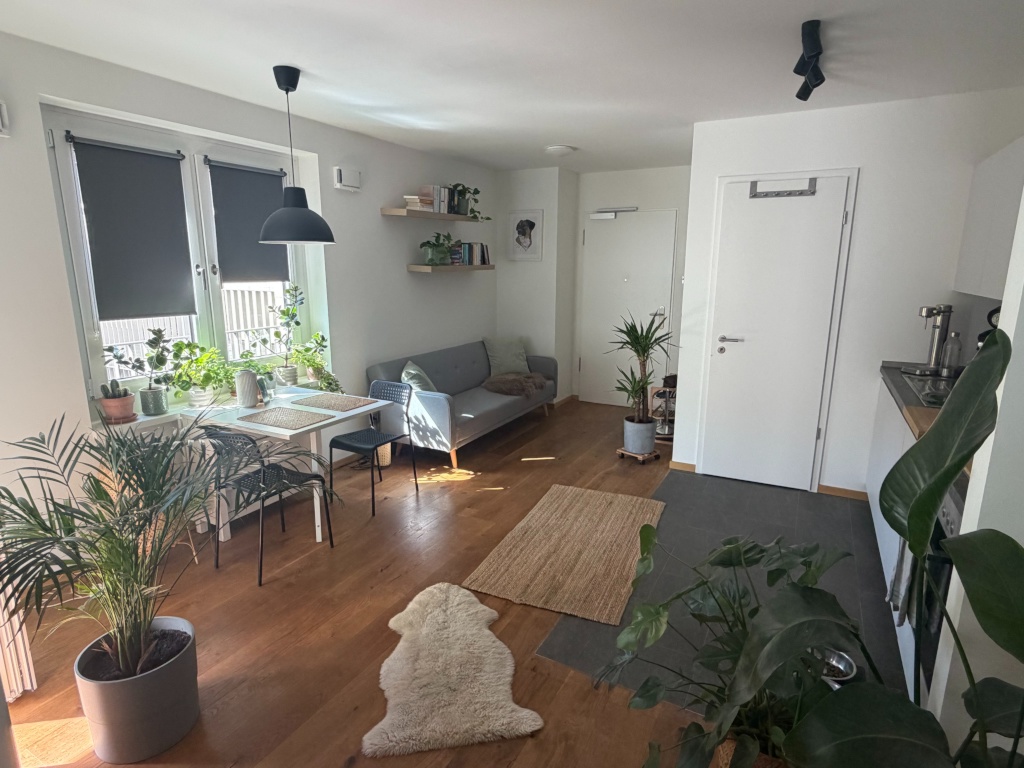 Wohnung Hamburg-Altstadt Johanniswall 1 - Wohnbereich