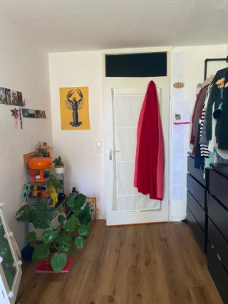 Ad image: ANFRAGESTOPP - zimmer in mädels-wg🌞💕