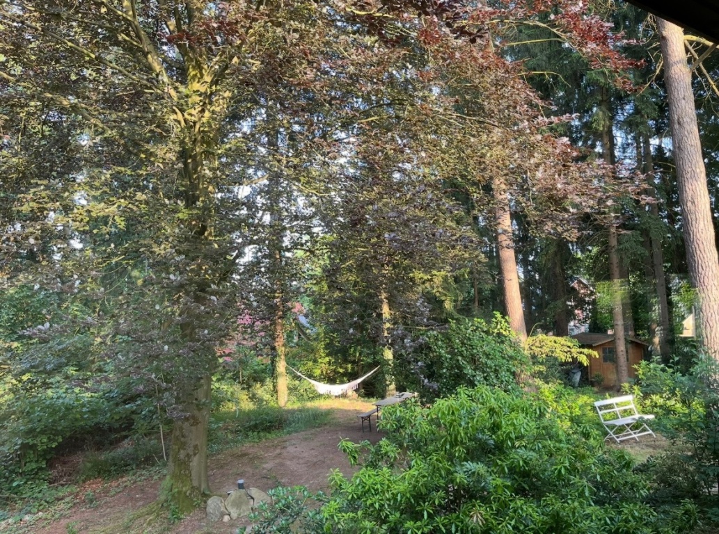 Wohnung Buchholz Landkreis Harburg Am Kattenberge - Blick in den Garten zur Mitnutzung