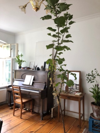 2 Zimmer / 2 room Apartment in Berlin Schöneberg — photo 1