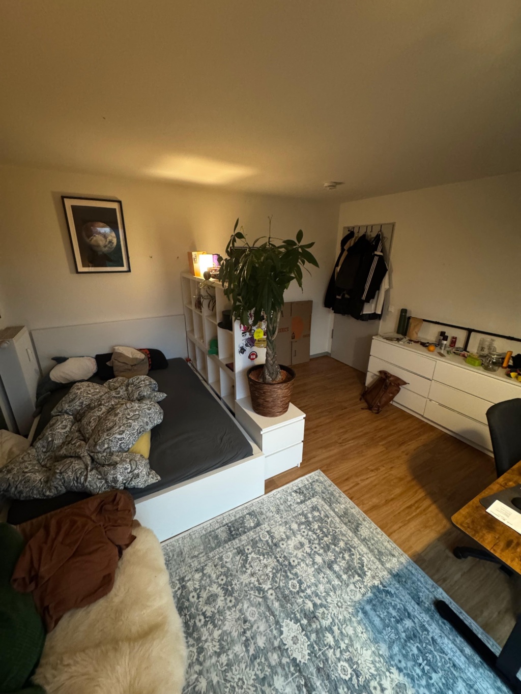 Flatshare Sentrup Corrensstr. 86 - picture 5