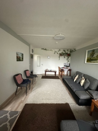 Helle möblierte 48 m2 Wohnung mit Balkon zur Zwischenmiete — photo 1