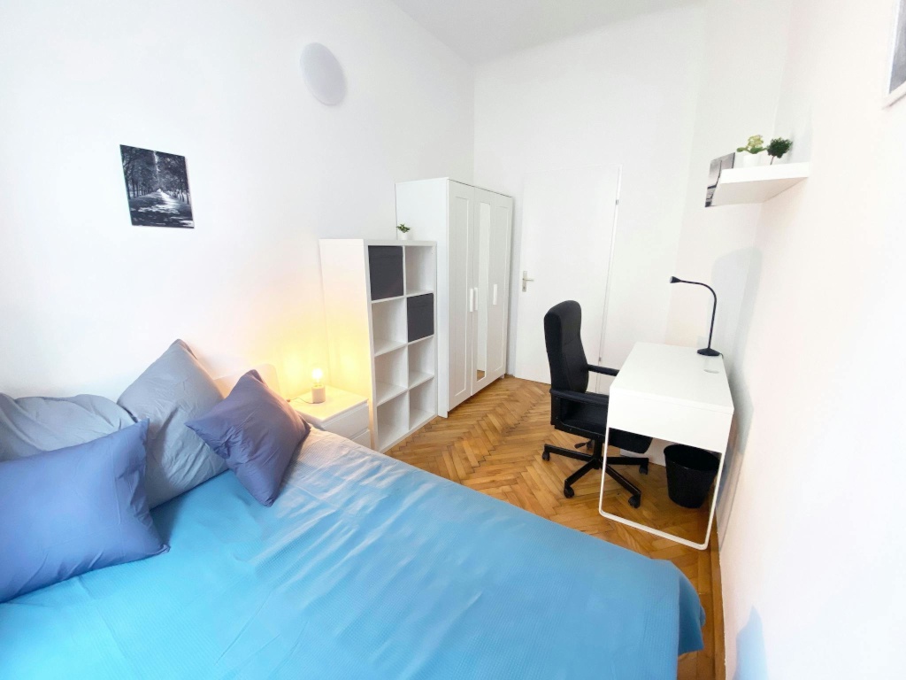 WG-Zimmer Wien Schlachthausgasse - Bild 4