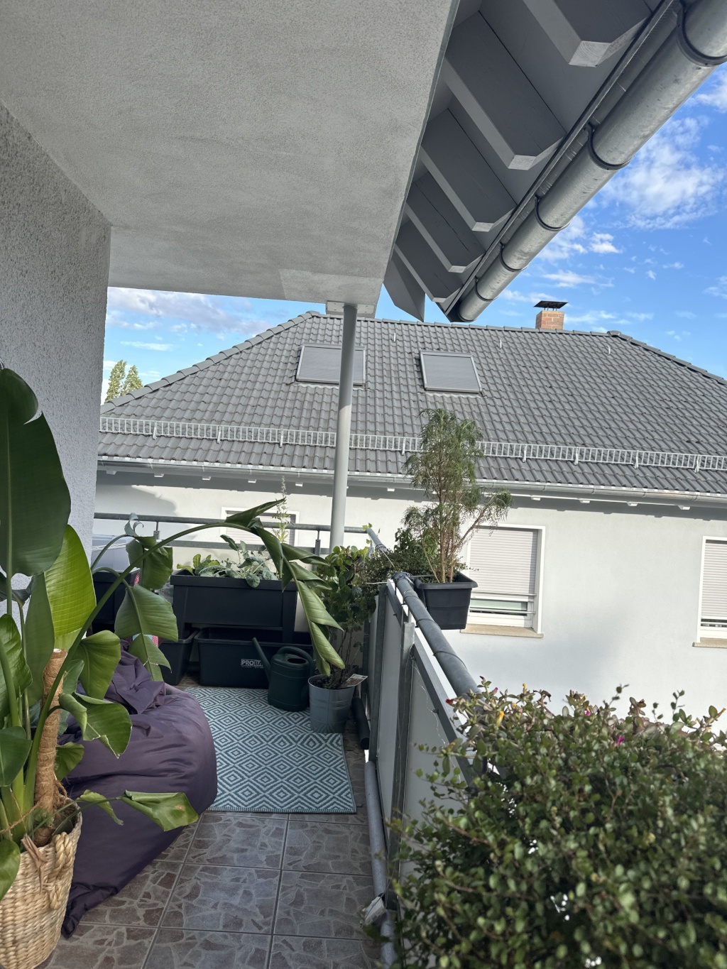 Flatshare West Hegelstraße - picture 4