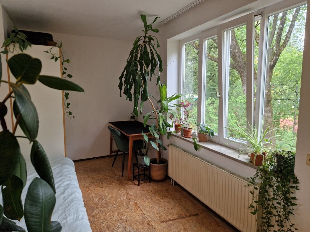 WG-Zimmer Maxvorstadt Heßstraße 77 - Privates Zimmer