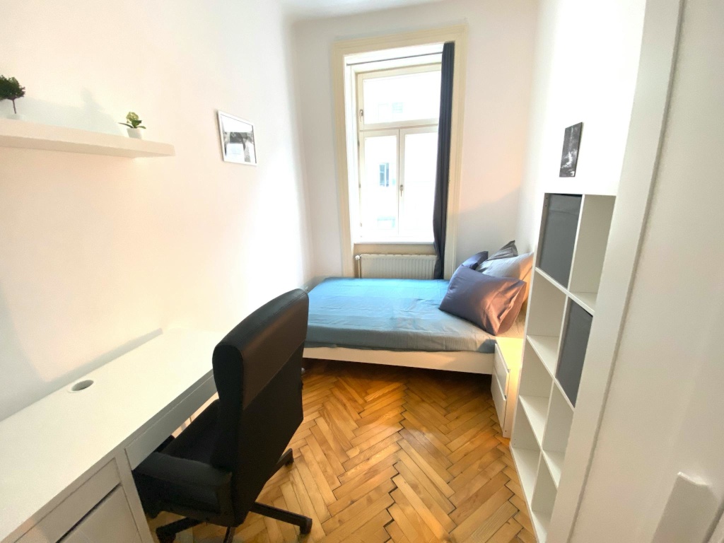 WG-Zimmer Wien Schlachthausgasse - Bild 5