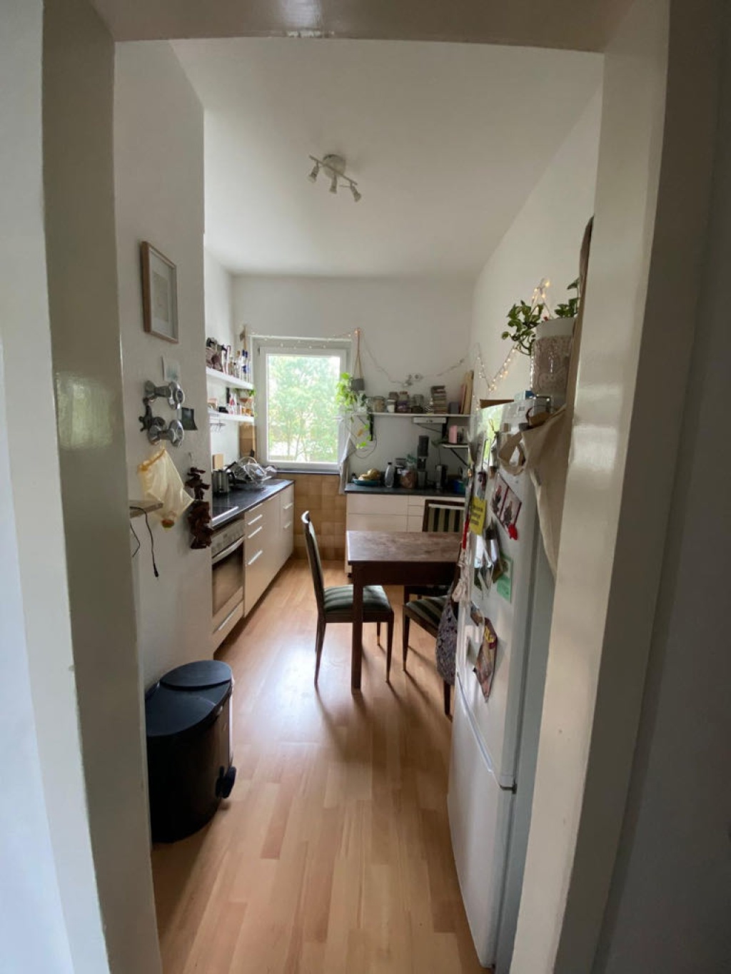 WG-Zimmer Neustadt-Süd Zülpicher Straße 79 - Bild 3