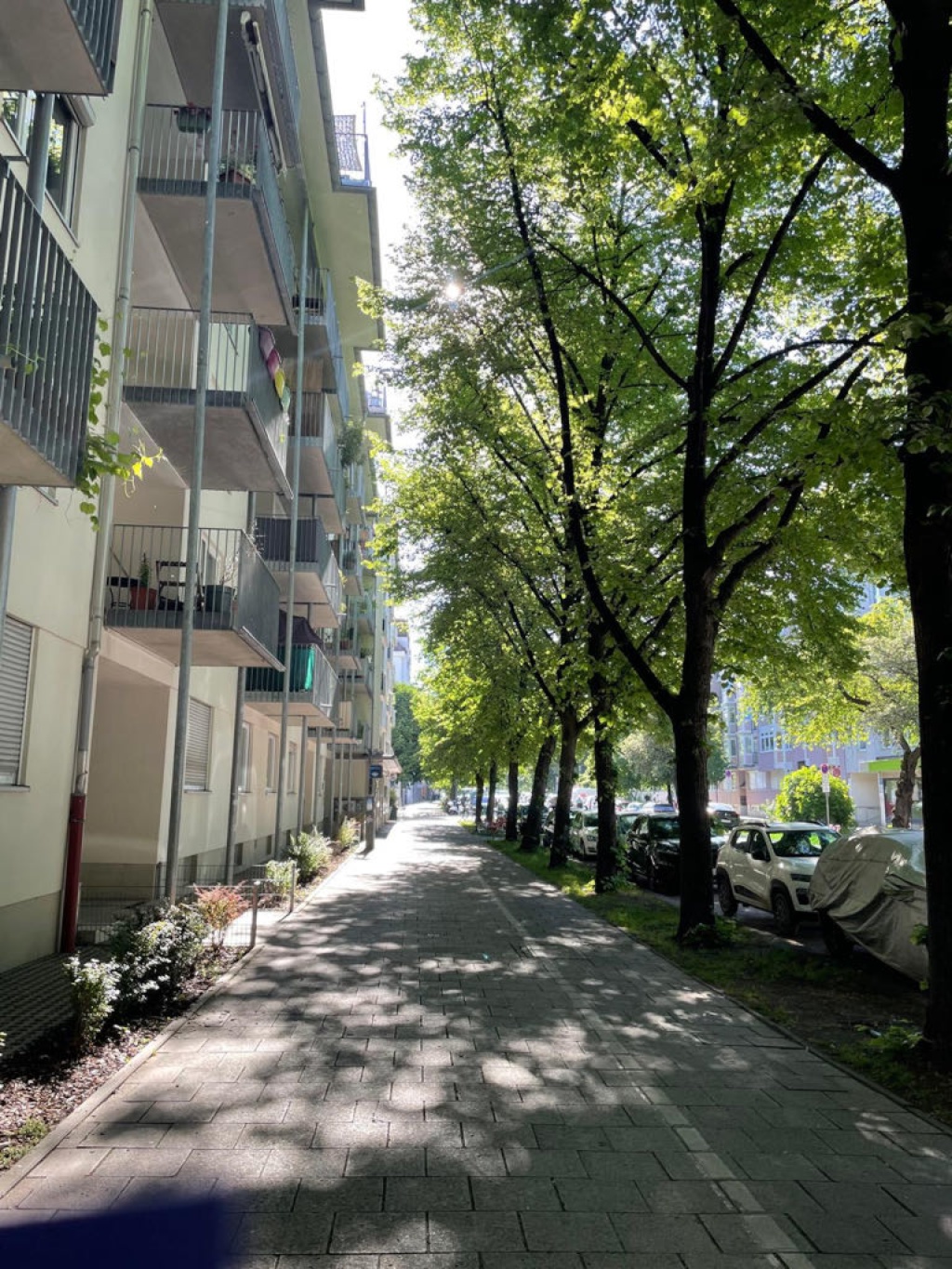 1-Zimmer-Wohnung Neuhausen-Nymphenburg Merianstraße 8 - Bild 6