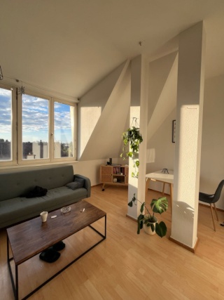2 room apartment ! lots of light, great sunset view — photo 1