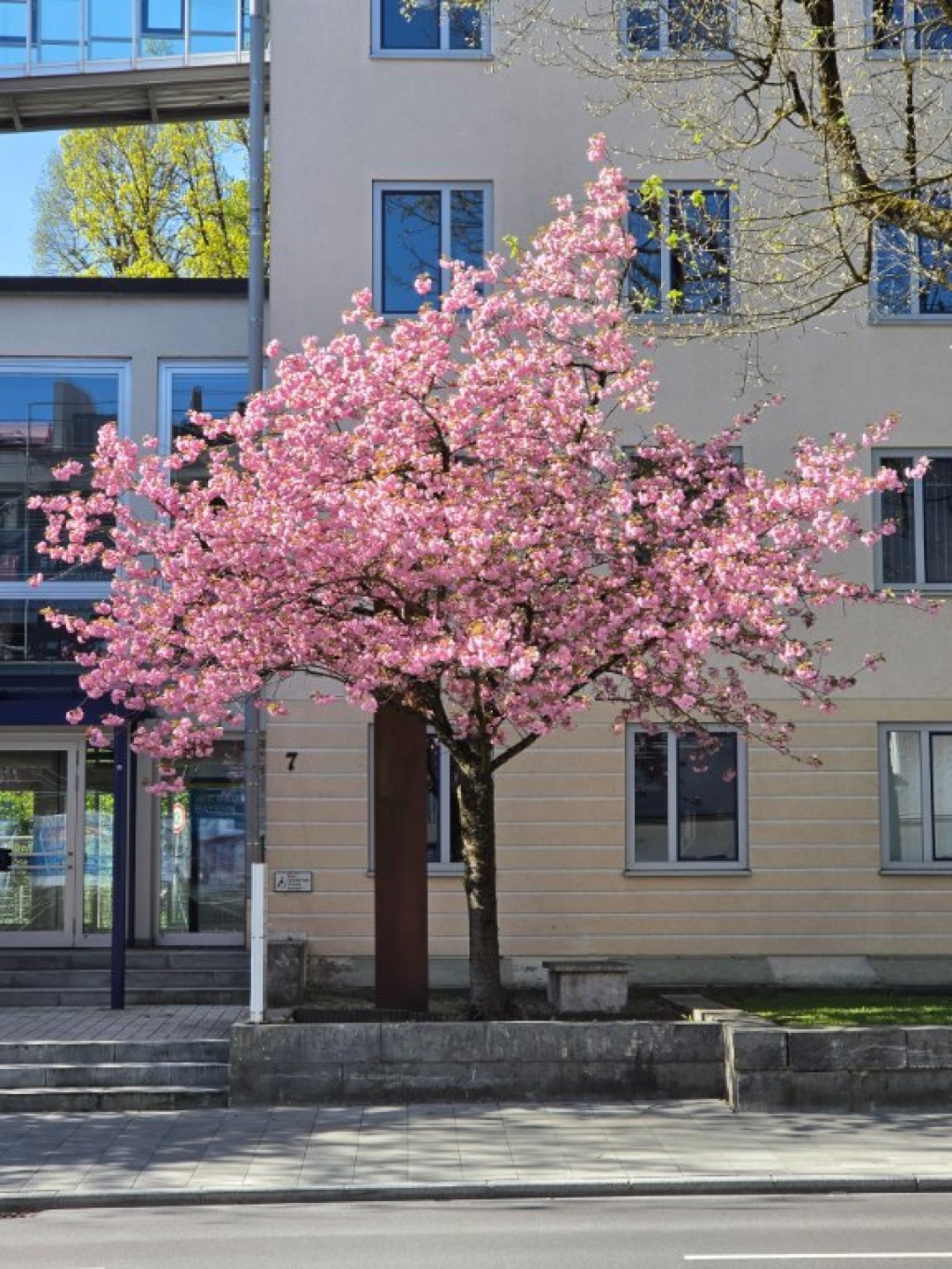 WG-Zimmer Traunstein Rosenheimer Straße 48 - Bild 13