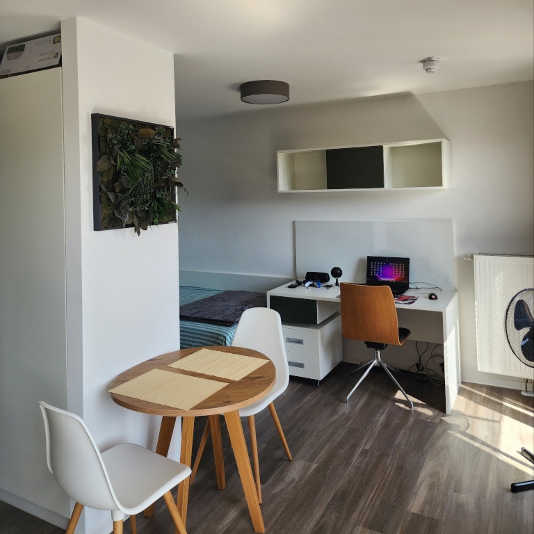 Möbliertes Penthouse-Apartment mit Dachterrasse in Heilbronn — Urban Living