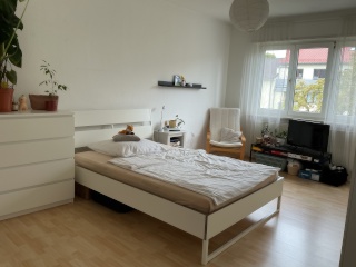 Anzeigenbild: möbiliertes Zimmer in 2er WG ab Okt/Nov