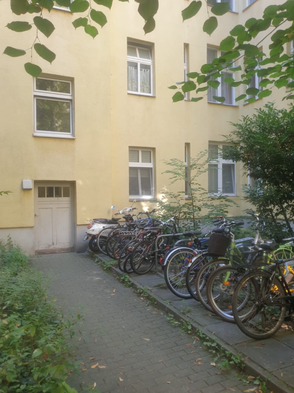 1-Zimmer-Wohnung Wedding Brüsseler Straße 39 - Innenhof