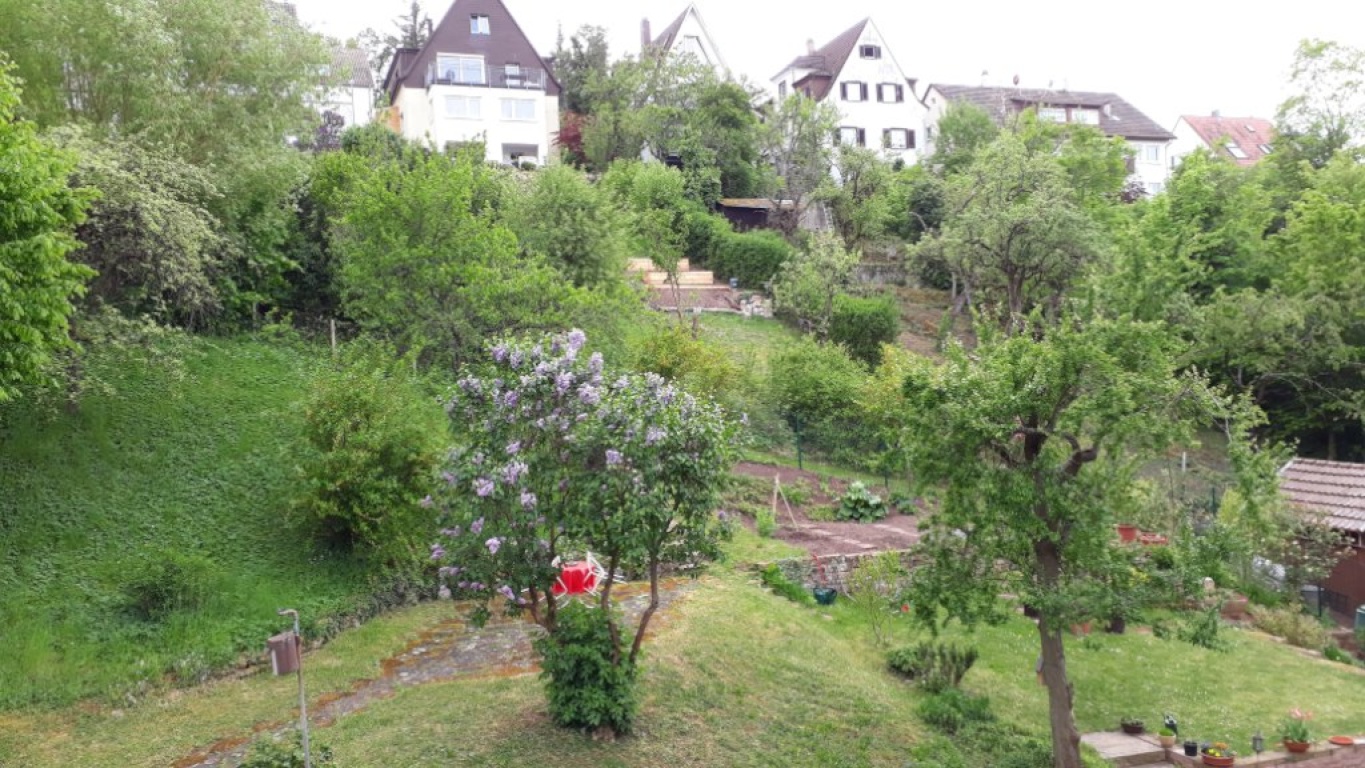 Flatshare Gablenberg Neue Straße 108 - Blick aus dem Zimmer