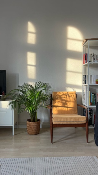 Anzeigenbild