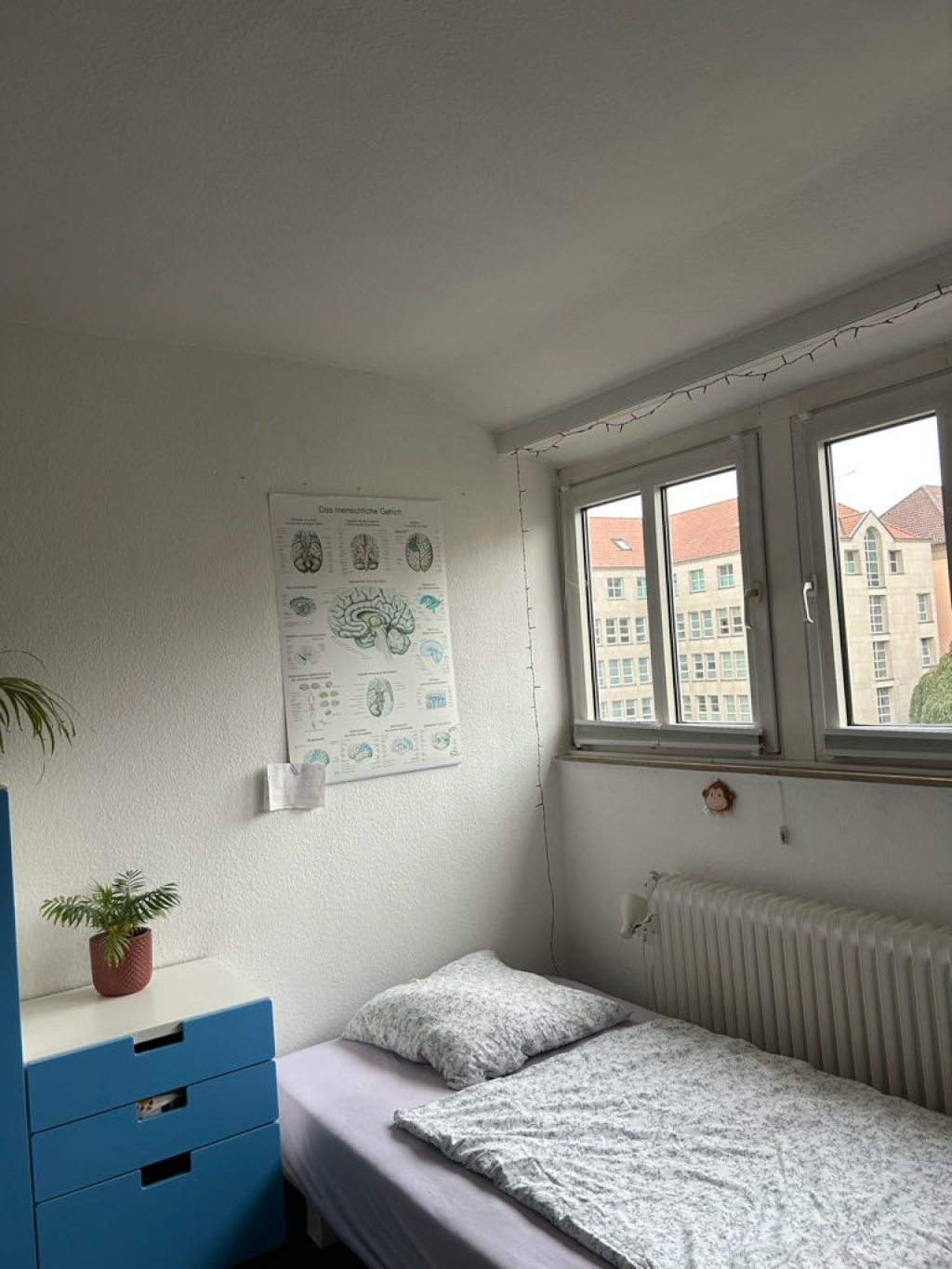 WG-Zimmer Mauritz Schwelingstraße - Bild 4