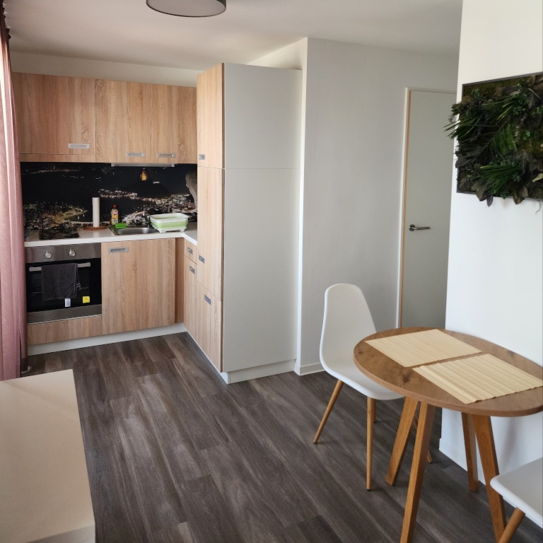 Möbliertes Penthouse-Apartment mit Dachterrasse in Heilbronn — Urban Living – Schmollerstraße 55, 74074 Heilbronn Heilbronn – Vorschaubild 5