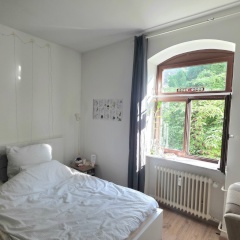 Anzeigenbild: Ruhige 4er-WG, teilmöbliertes Zimmer