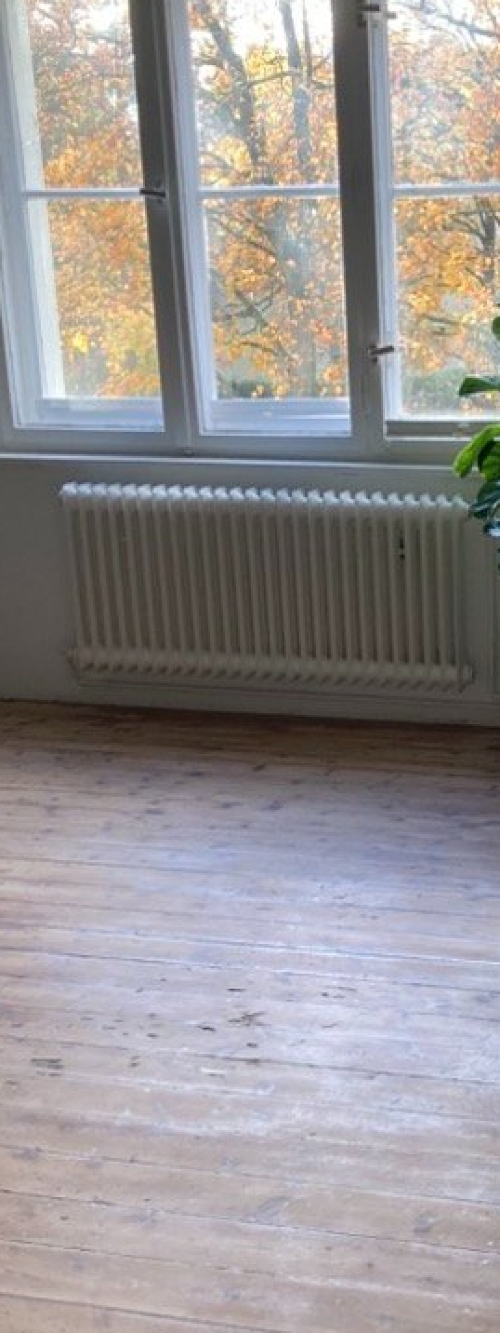 ✨ Home for 2 ✨ – Weg 1, Berlin Gesundbrunnen – Vorschaubild 3