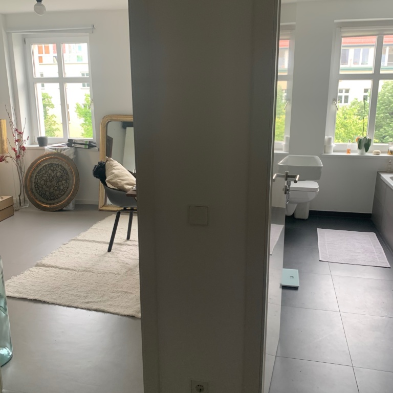 DACHGESCHOSS - Available from 11th October for 2 to 3 months – Brunnenstraße, 10115 Berlin Mitte – Vorschaubild 6