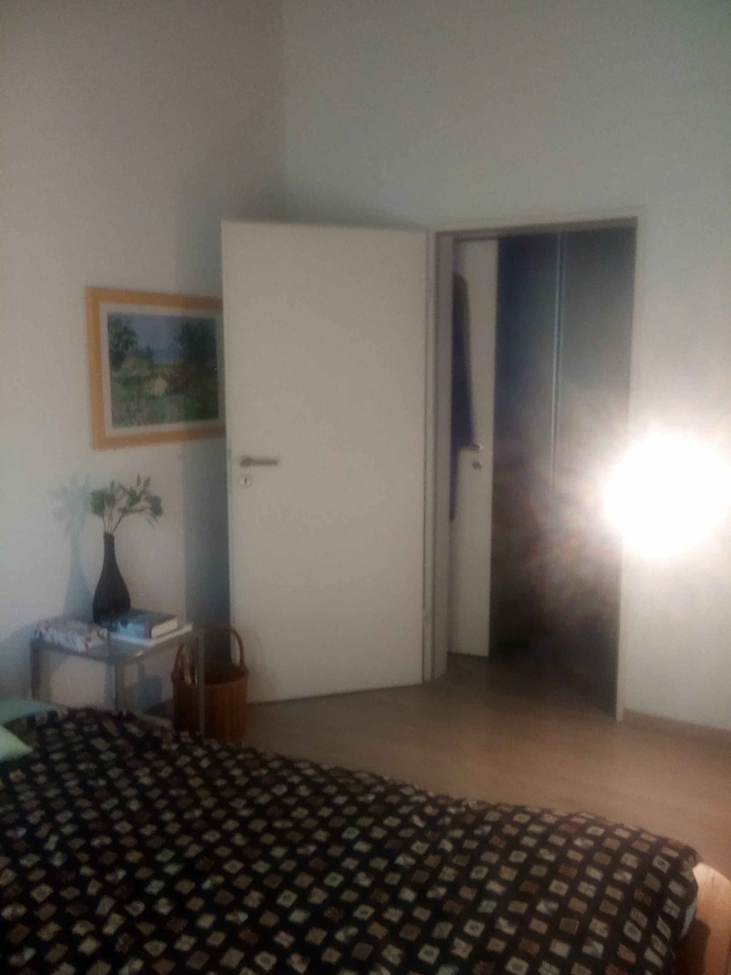 WG-Zimmer Lindenthal Görlitzer Straße - WG-Zimmer-Bild2