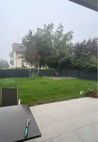 Anzeigenbild