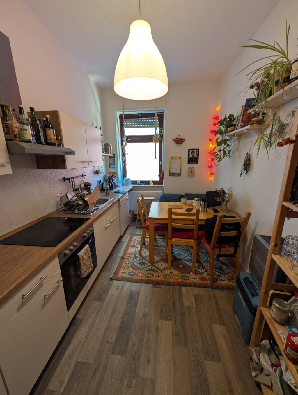 Flat Südstadt Wilhelmstraße - Wohnküche mit neuer Einbauküche, 2. Kühlschrank etc.