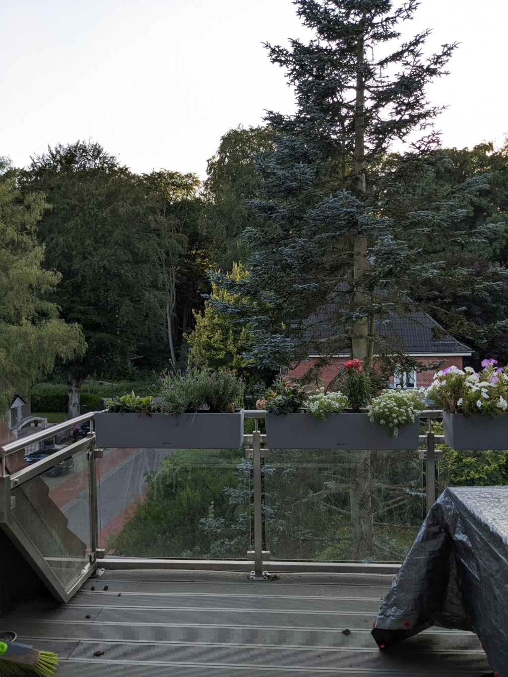Wohnung Heimfeld Forstweg - Bild 5