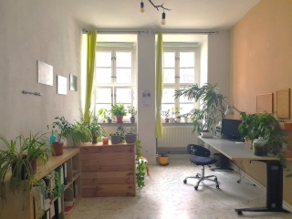 Anzeigenbild: Großes, helles WG-Zimmer in Toplage