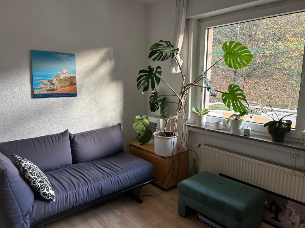 Flatshare Gablenberg Neue Straße 108 - Idem