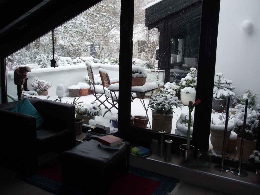WG-Zimmer Lindenthal Görlitzer Straße - Blick-Wohnzimmer-Terrasse-Bild1