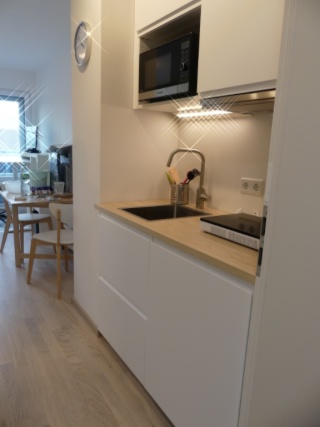 Ad image: Möbilierte 1 Zi. Wohnung mit Balkon