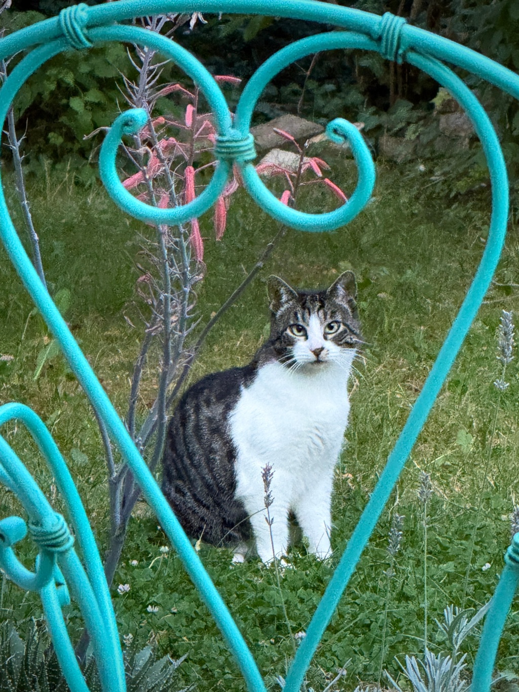 Flatshare Ottobrunn Falkenstr. 21 - Frida