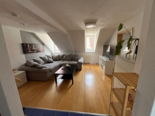 Anzeigenbild: Charmantes Südstadt-Apartment