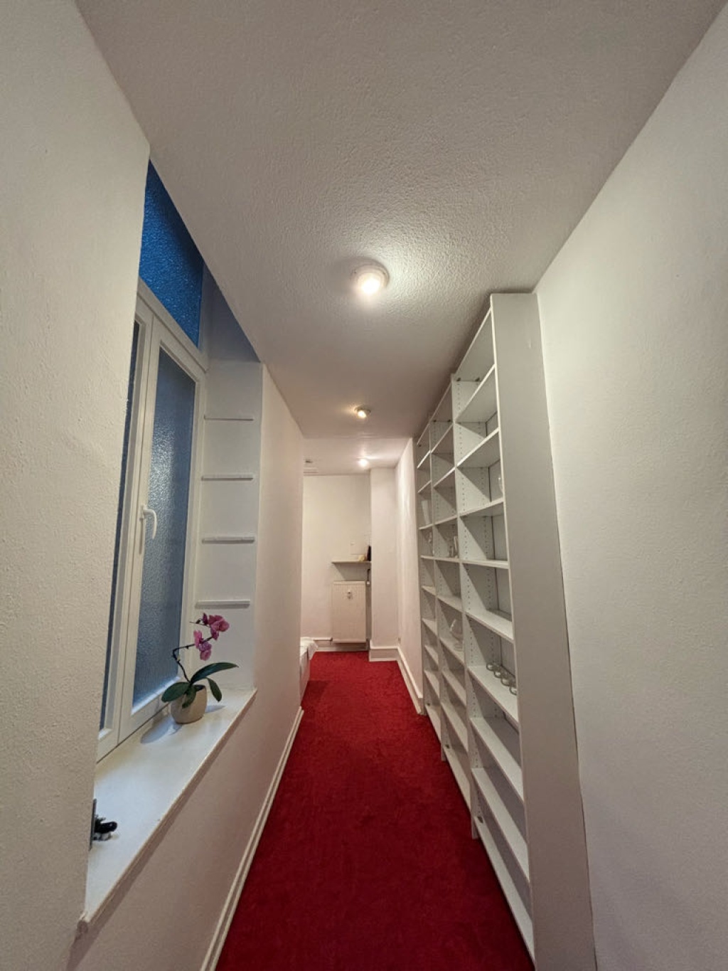 WG-Zimmer Neustadt-Süd Eifelstraße - Bild 7