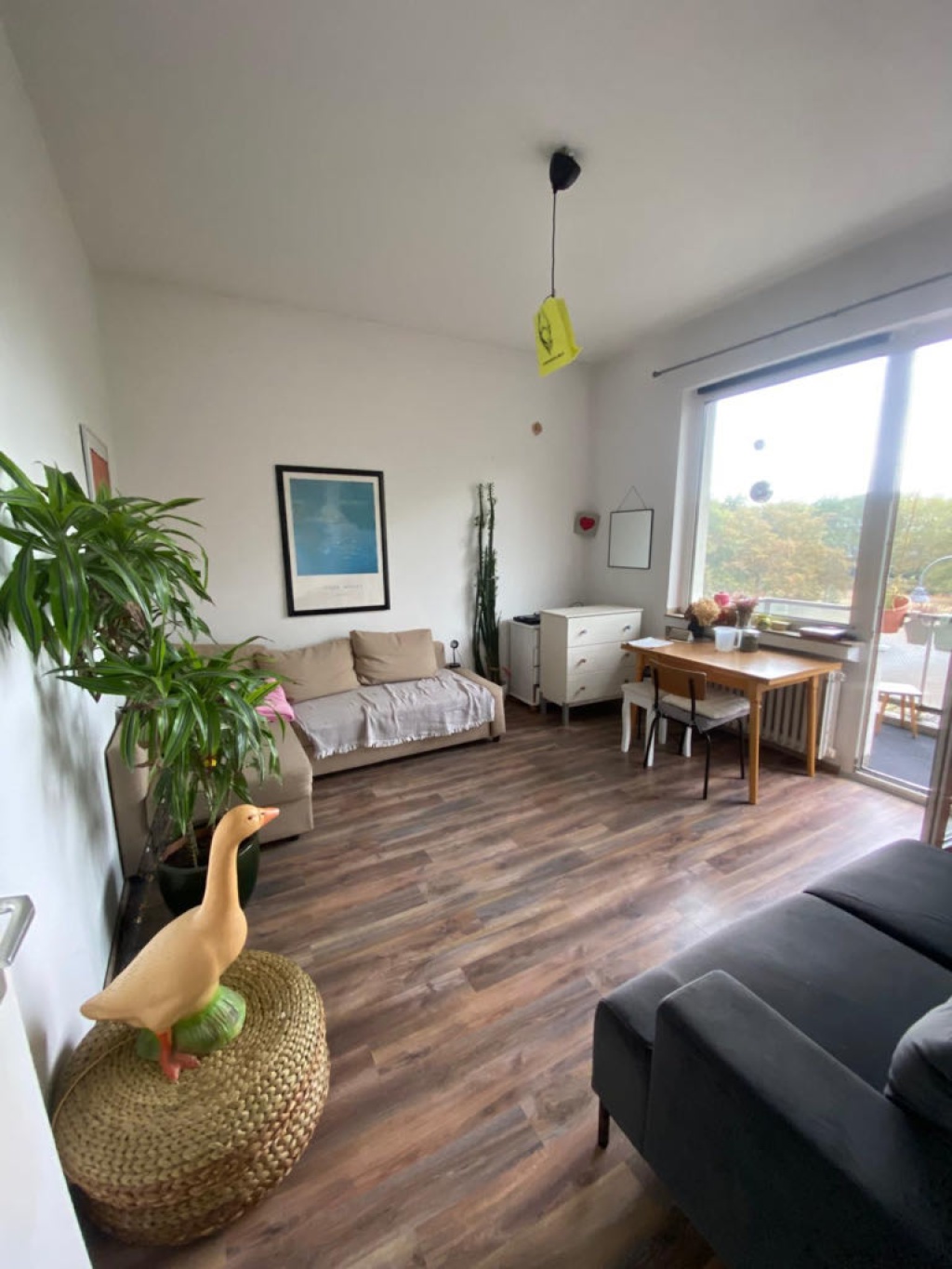 WG-Zimmer Neustadt-Süd Zülpicher Straße 79 - Bild 6