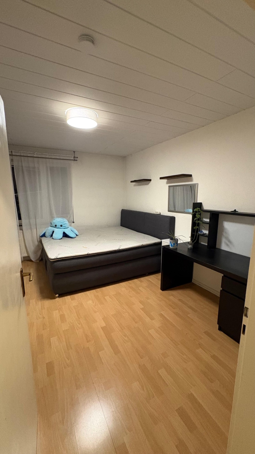 Nachmieter gesucht! Komplette Wohnung ab September abzugeben in Mainz Innenstadt in bester Lage! (2 Schlafzimmer, 1 Ankleidezimmer, Küche, Bad, Flur) – Mittlere Bleiche, 55116 Mainz Altstadt – Vorschaubild 2