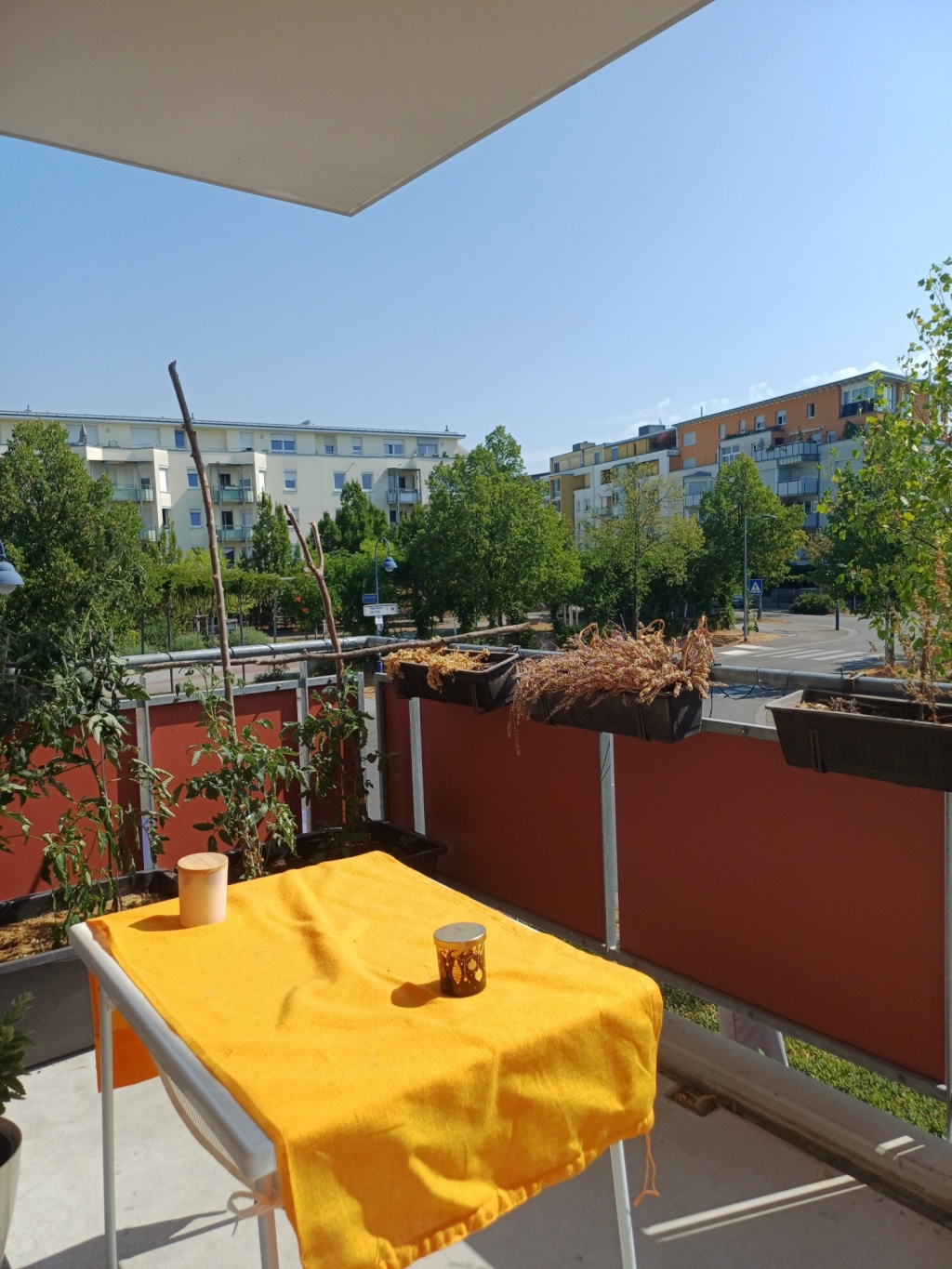 Habitación en WG Rieselfeld Ingeborg-Drewitz-Allee - foto 6