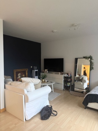 Anzeigenbild: 1-Zimmer-Wohnung