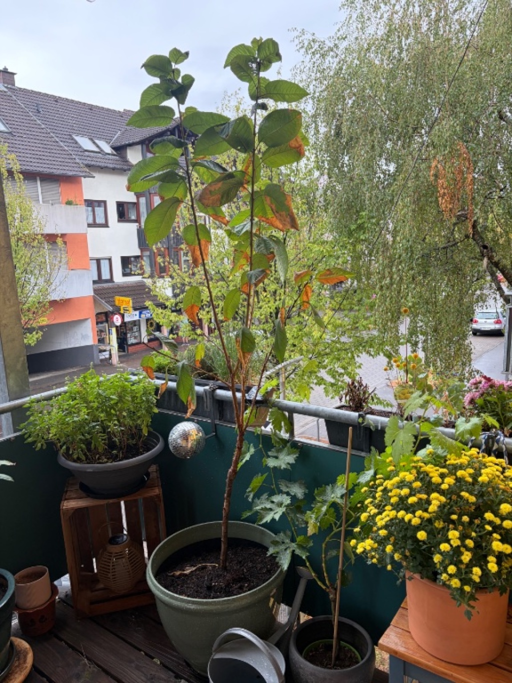 Flat Haslach Markgrafenstraße - Balkon