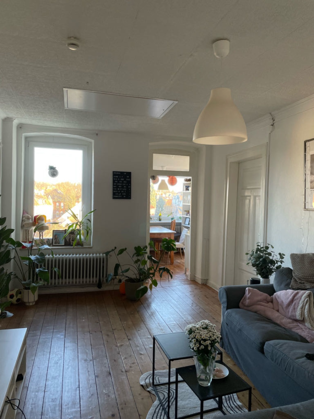 WG-Zimmer Weststadt Martinistraße - Bild 4