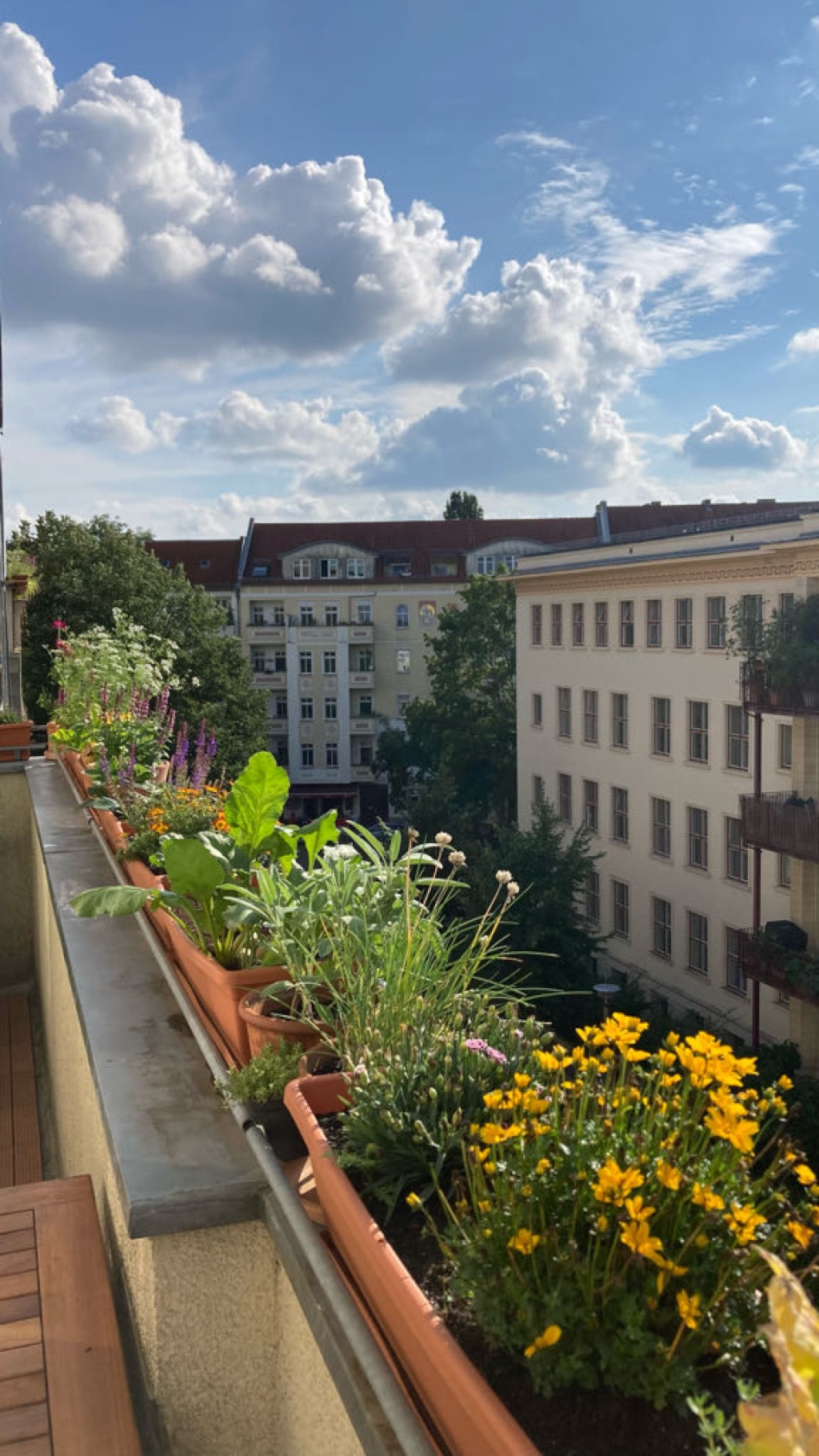 Wohnung Berlin Böcklinstraße - Balcony